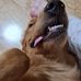 Teri Kun - Facebook