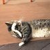 Teri Lauer - Facebook