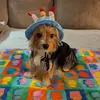 Terri Leonard - @terri.leonard2 - TikTok