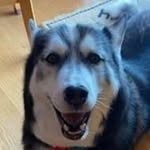 Teri Markham Lerch - @terimarkham - Instagram