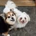 Terry Lerch - Facebook