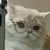 H M T - @terilin - TikTok