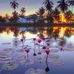 Teri Linn - Facebook