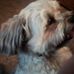 Teri Linn - Facebook