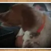 t - @terilowery - TikTok