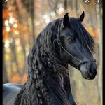 lund # chut - @lund_hai_mera_chut_teri - Instagram