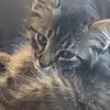 Terri Lund131 - @terri3496 - TikTok