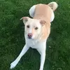 Teri Lyons - @teri.lyons - TikTok