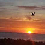 Terri Mattson - @terrimattson - Instagram