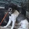 Terri McBride - @terri.mcbride4 - TikTok