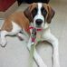 Terrie McBride - Facebook