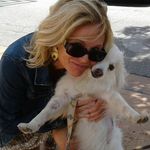 Teri McCall - @mccallfarm - Instagram