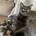 Teri McCoy - Facebook