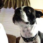Teri McDaniel - @teri_place - Instagram