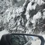 Teri McGee Stout - @stoutteri - Instagram