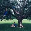 Terry Meyer - @terrymeyer8 - TikTok