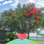 Teri McElwain Mills - @terimills56 - Instagram