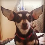 Teri Mooney - @prettypixie2010 - Instagram