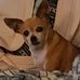 Teri Morton - Facebook