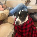 Terri Moss - @tmosstheboss - Instagram