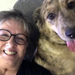 Teri Norman Sechrist - @tksechrist - Instagram