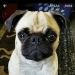 Teri O'Brien - @obrienteri - Instagram