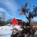 Teri Olson - Facebook