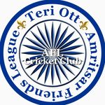 Amritsar Friends League Teri Ott Cricket Club - @afl_teri_ott_cricket_club - Instagram