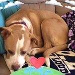 Teri Petersen - @teripetersen - Instagram