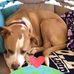 Teri Petersen - Facebook