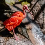 Terri Petersen - @terripetersenbqy48505 - Instagram