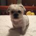 Terri Phelps - Facebook