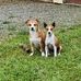 Teri Pike - Facebook