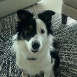 Teri Pinney - @t.pinney - Instagram