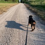 Terri Plummer - @terri.plummer - Instagram