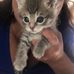 Terri Pollard - Facebook