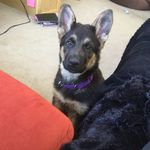 Teri Pollock Lavergne - @lavergne.teri - Instagram