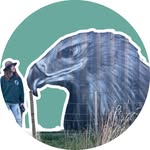 Terri Pollock | Full-time Artist - @terri_pollock_art - Instagram