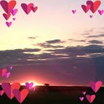 Teri Powell - @teri.powell.756 - Instagram
