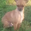 Terri Presley - @terri.presley5 - TikTok