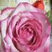 Teri Proctor - Facebook