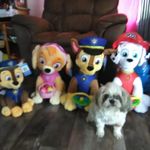 Terri Proctor - @terri_pro10 - Instagram