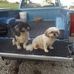 Terri Proctor - Facebook