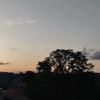 quickhisterical - @quickhisterical - TikTok
