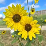 Teri Rae - @teri_rae_photography_llc - Instagram