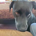 Teri Randall - @terirandall50 - Instagram