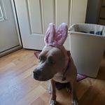 Teri Ray - @viva_la_teri - Instagram