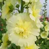 teriray556 - @teriray556 - TikTok