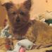 Teresa Redding - Facebook