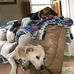 Terri Rich - Facebook